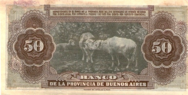 Cows