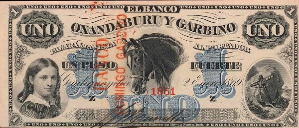  Girl, horse, acnhor