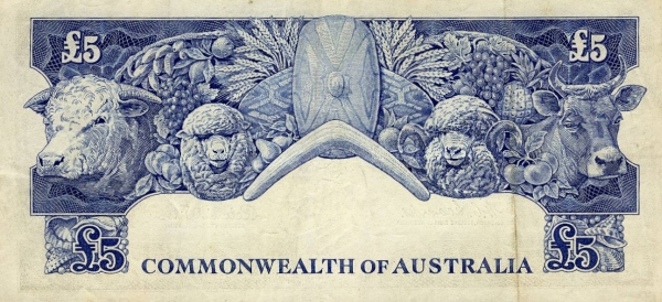  Bull, sheep, cow