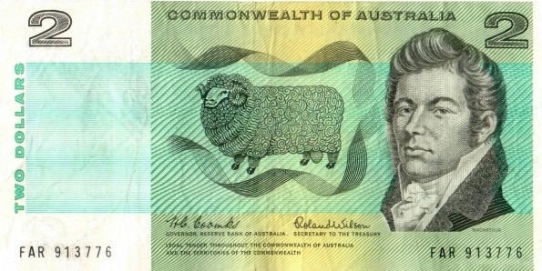  John McArthur,  sheep
