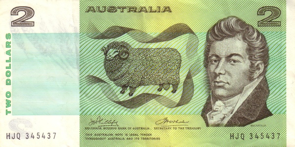  John McArthur,  sheep