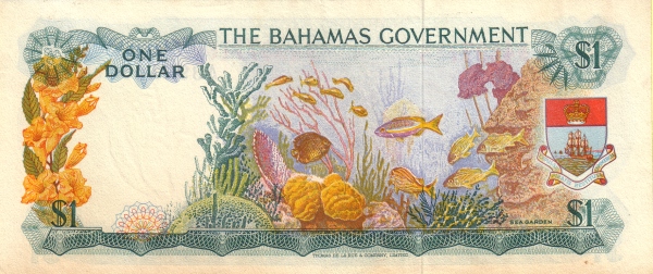  Sea Garden