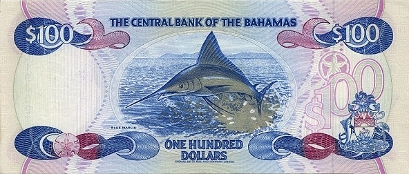  Blue marlin