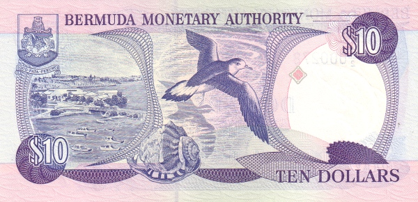  Bermuda petrel