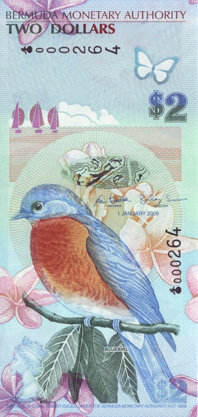  Bluebird (sialia  sialis)