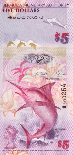  Blue marlin (makaira  nigricans)