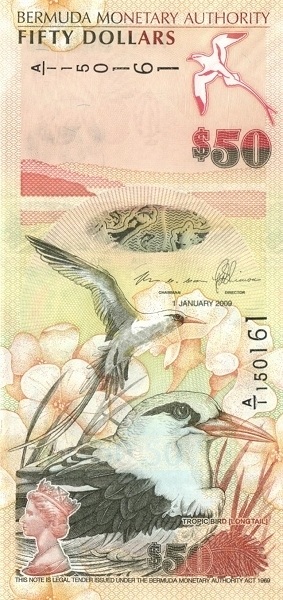  Red billed  tropic bird  (phaeton aethereus)