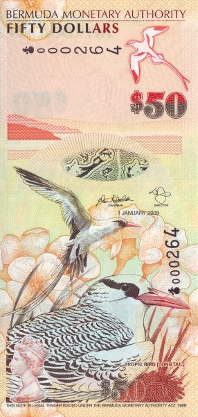  Red billed  tropic bird  (phaeton aethereus)