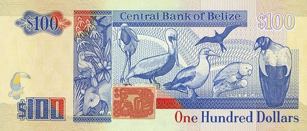  Birds of Belize (Jabiru stork, brown    pelican, red-footed booby, magnificent frigate bird, yellow-headed parrot    and king vulture)