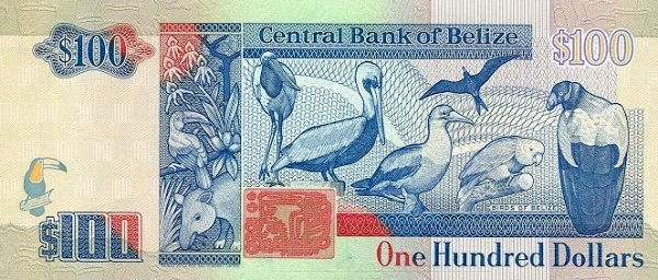  Birds of Belize (Jabiru stork, brown    pelican, red-footed booby, magnificent frigate bird, yellow-headed parrot    and king vulture)