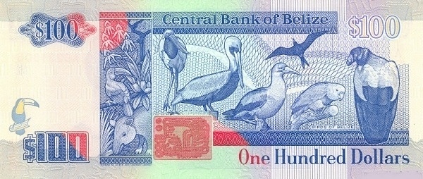  Birds of Belize (Jabiru stork, brown    pelican, red-footed booby, magnificent frigate bird, yellow-headed parrot    and king vulture)