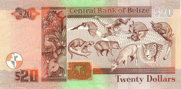  Animals of Belize (upper left    Dog-like Bat, lower left Kinkajou, upper center left Black    Howler Monkey, lower center left Collared Peccary, upper center    right Northern Tamandua, lower center right Red Brocket, upper    right Ringtail, lower right Jaguar)