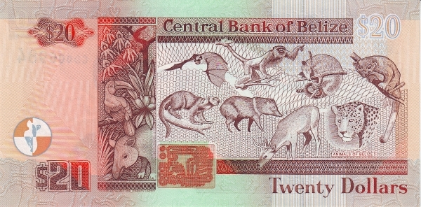  Animals of Belize (upper left    Dog-like Bat, lower left Kinkajou, upper center left Black    Howler Monkey, lower center left Collared Peccary, upper center    right Northern Tamandua, lower center right Red Brocket, upper    right Ringtail, lower right Jaguar)