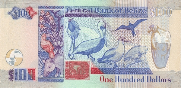  Birds of Belize (Jabiru stork,    brown pelican, red-footed booby, magnificent frigate bird, yellow-headed    parrot and king vulture)