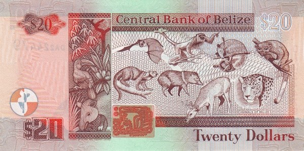  Animals of Belize (upper left    Dog-like Bat, lower left Kinkajou, upper center left Black    Howler Monkey, lower center left Collared Peccary, upper center    right Northern Tamandua, lower center right Red Brocket, upper    right Ringtail, lower right Jaguar)