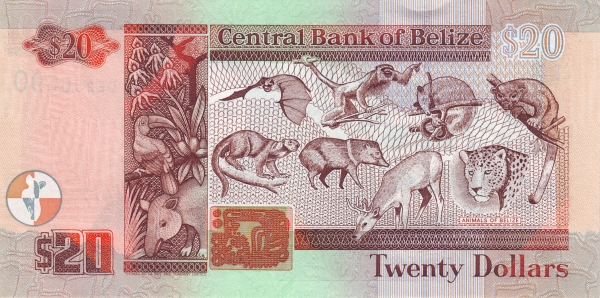  Animals of Belize (upper left    Dog-like Bat, lower left Kinkajou, upper center left Black    Howler Monkey, lower center left Collared Peccary, upper center    right Northern Tamandua, lower center right Red Brocket, upper    right Ringtail, lower right Jaguar)