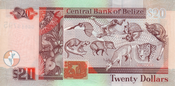  Animals of Belize (upper left    Dog-like Bat, lower left Kinkajou, upper center left Black    Howler Monkey, lower center left Collared Peccary, upper center    right Northern Tamandua, lower center right Red Brocket, upper    right Ringtail, lower right Jaguar)