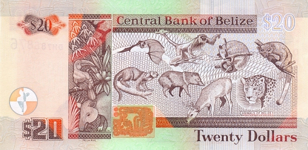  Animals of Belize (upper left    Dog-like Bat, lower left Kinkajou, upper center left Black    Howler Monkey, lower center left Collared Peccary, upper center    right Northern Tamandua, lower center right Red Brocket, upper    right Ringtail, lower right Jaguar)