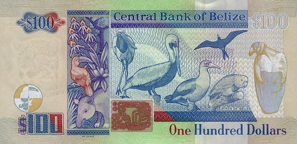  Birds of Belize (Jabiru stork,    brown pelican, red-footed booby, magnificent frigate bird, yellow-headed    parrot and king vulture)