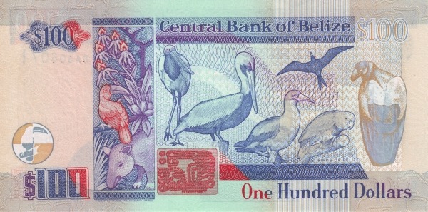  Birds of Belize (Jabiru stork,    brown pelican, red-footed booby, magnificent frigate bird, yellow-headed    parrot and king vulture)