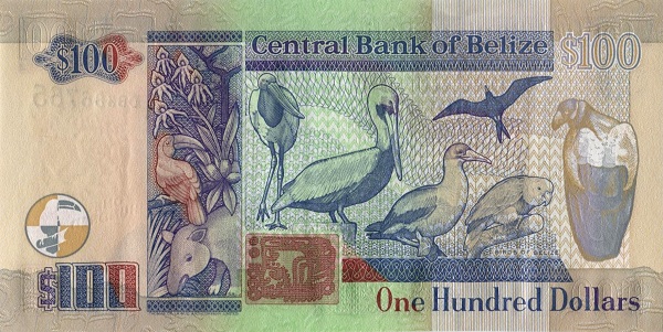  Birds of Belize (Jabiru stork,    brown pelican, red-footed booby, magnificent frigate bird, yellow-headed    parrot and king vulture)