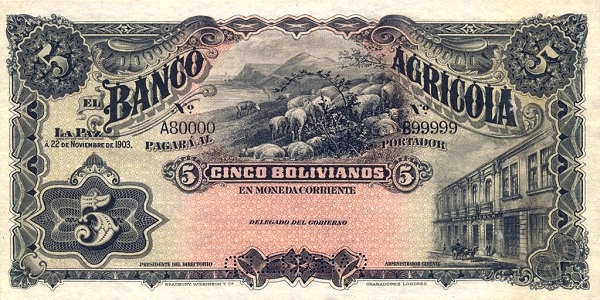 Sheep, bank building