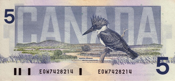 P-95