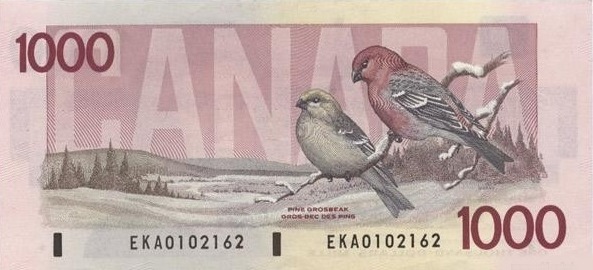 Pine grosbeak pair