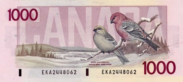 Pine grosbeak pair