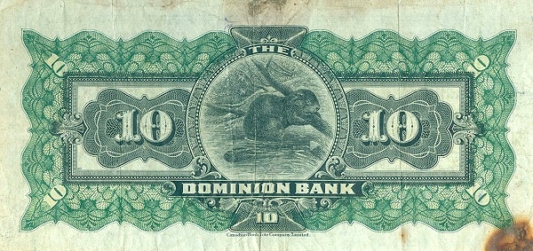  Beaver