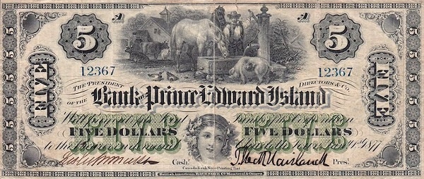 Farm animals, female head