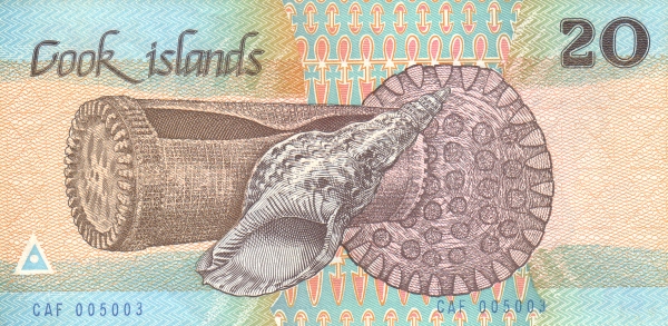  Conch, turtle shell,  drum