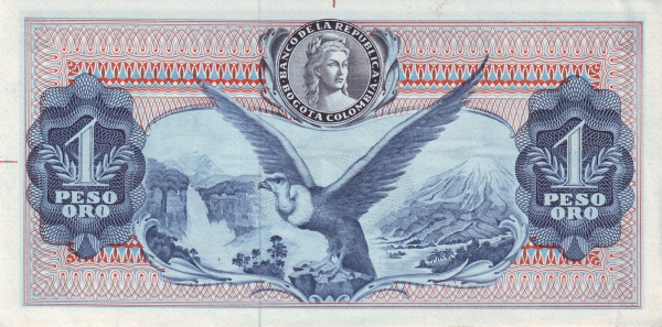 Condor