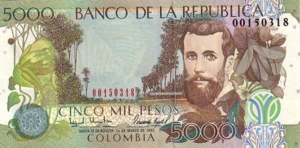  José Asunción Silva, winged  termite