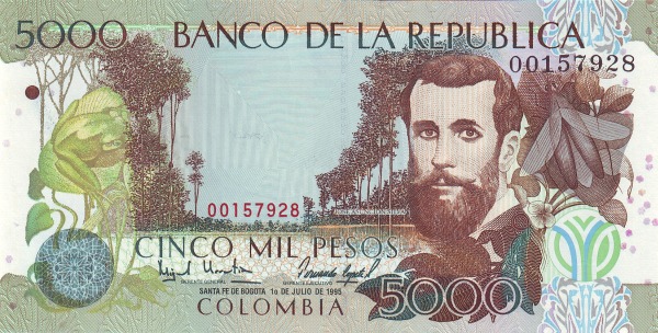 José Asunción Silva, winged  termite