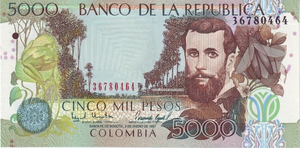  José Asunción Silva, winged  termite