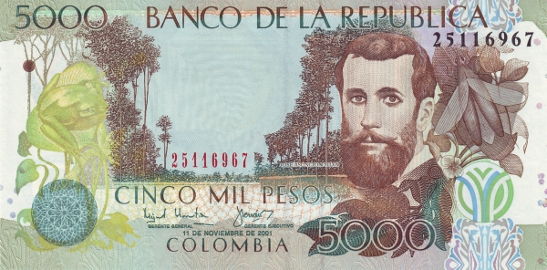  José Asunción Silva, winged  termite