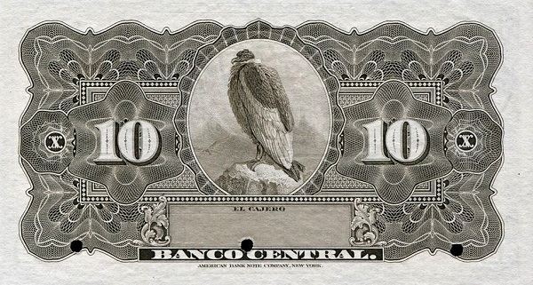 Condor