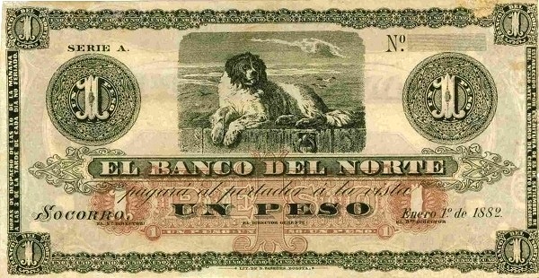  Dog