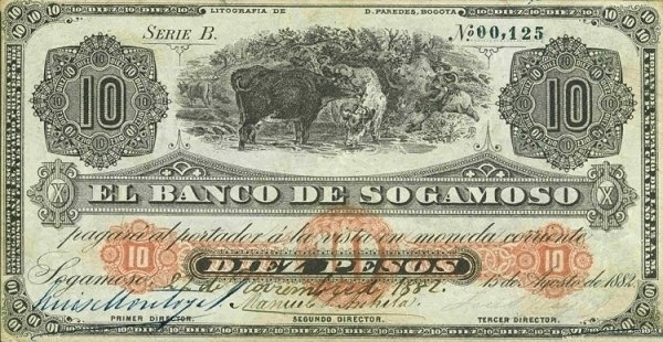 Cow, gaucho