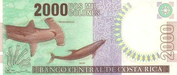  Shark, dolphin