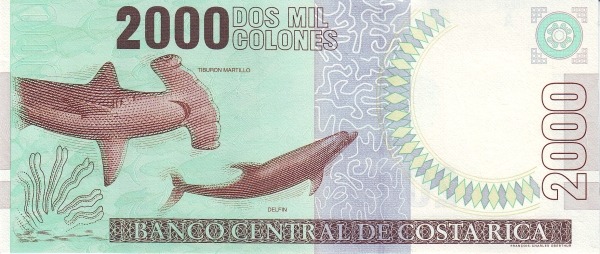  Shark, dolphin
