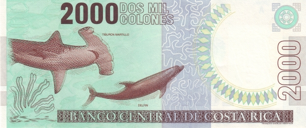  Shark, dolphin