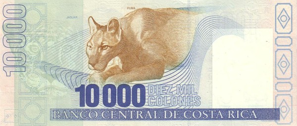  Head of jaguar,  puma