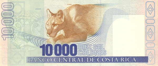  Head of jaguar,  puma