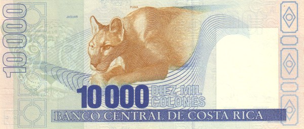  Head of jaguar,  puma