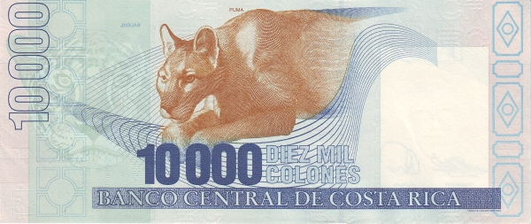  Head of jaguar,  puma