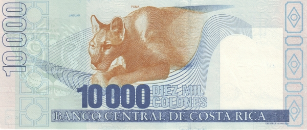  Head of jaguar,  puma
