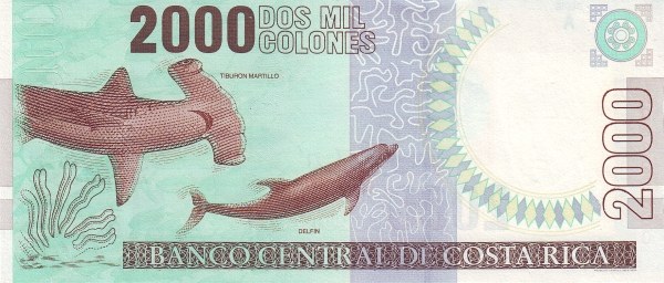  Shark, dolphin