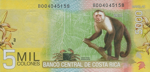  Mangrove swamp,  flowers, crab, monkey